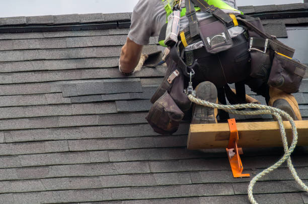 Roof Moss and Algae Removal in Lincoln Village, OH